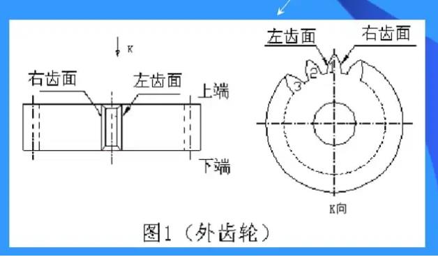 齿轮轮形图.jpg